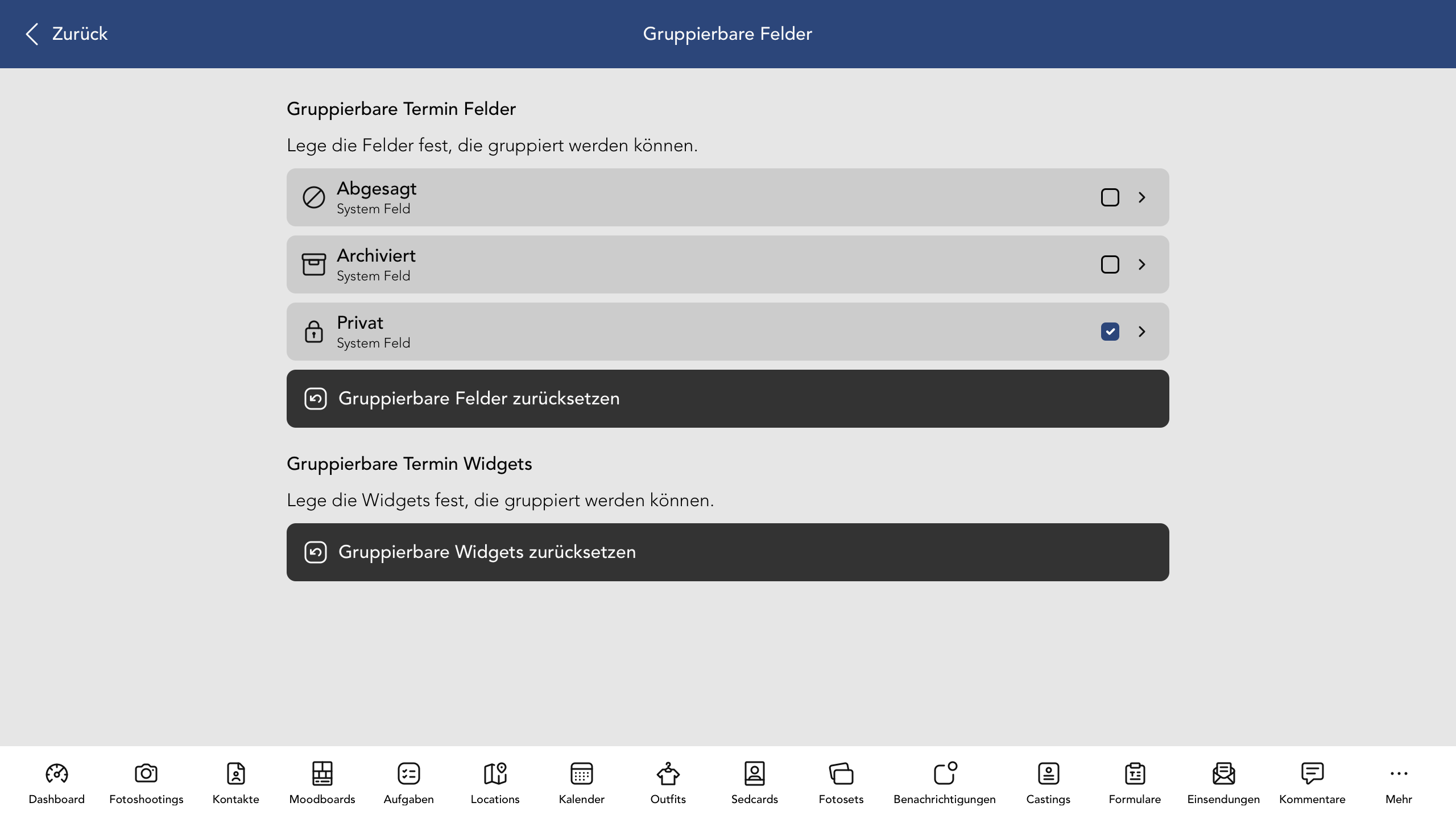 Gruppierbare Termin Felder und Widgets