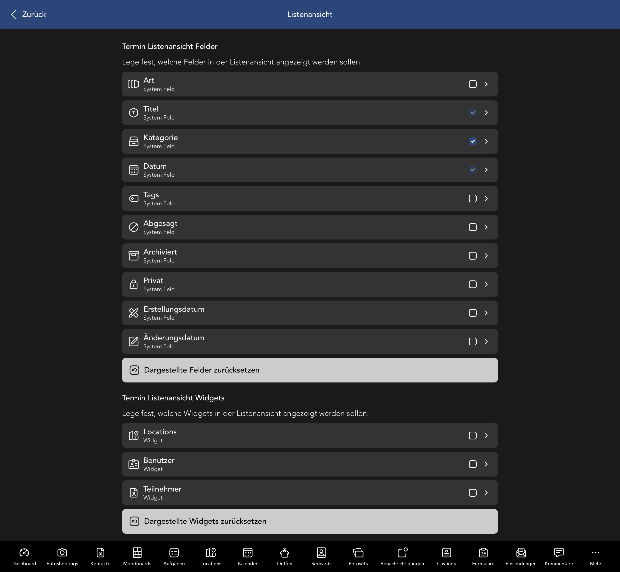 Termin Listenansicht Felder und Widgets