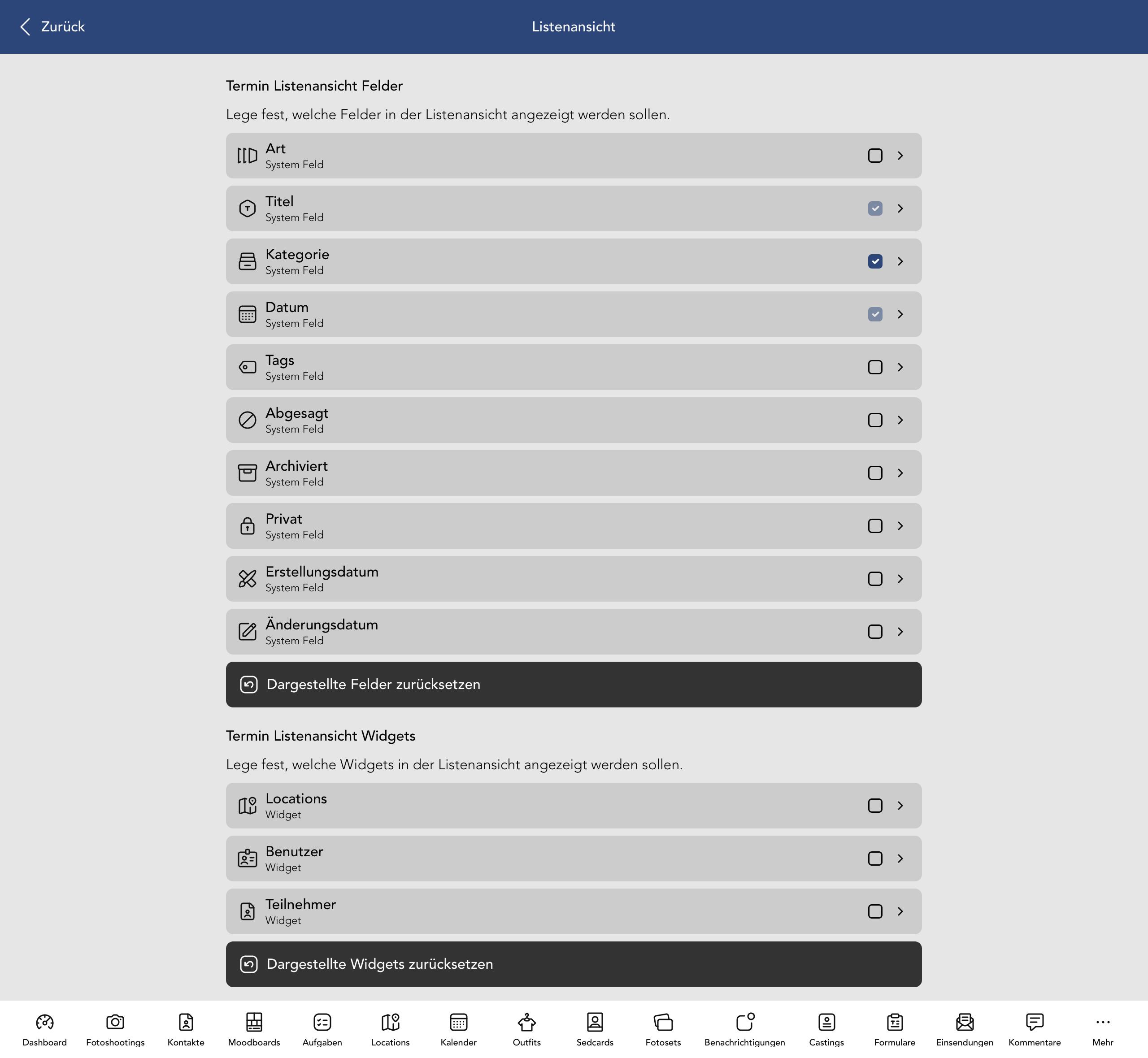 Termin Listenansicht Felder und Widgets