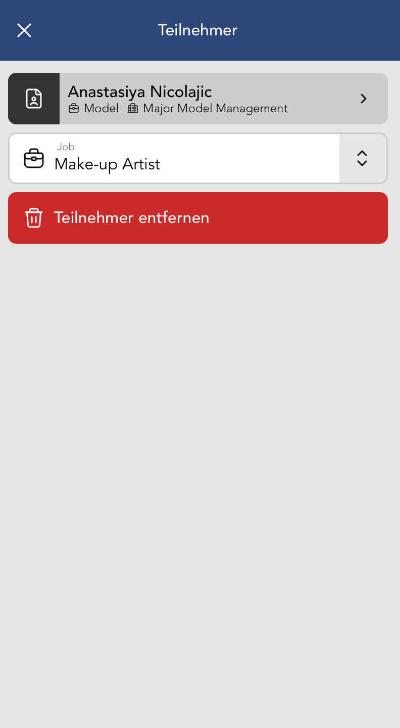 Teilnehmer Widget Fenster