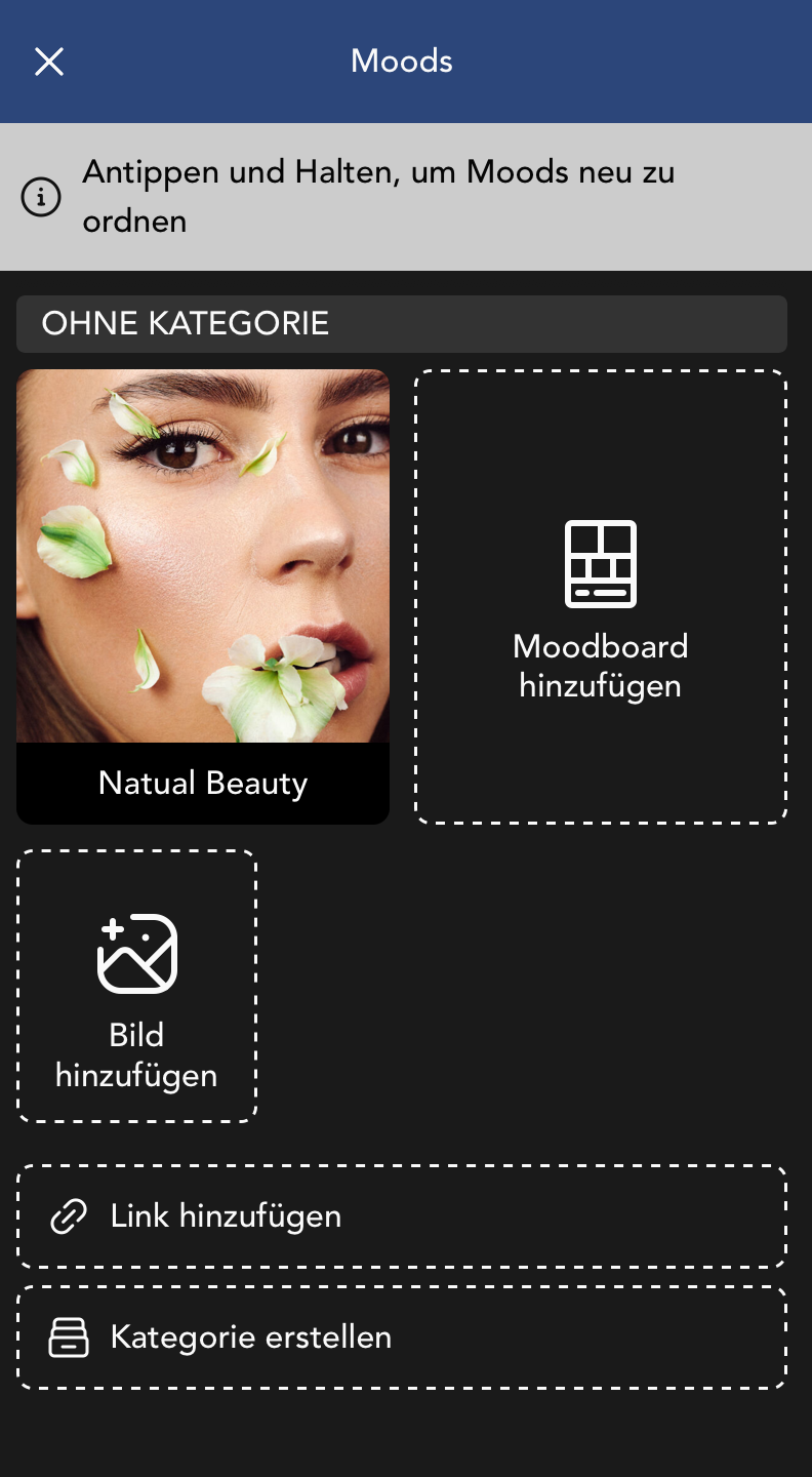 Moods Widget Fenster