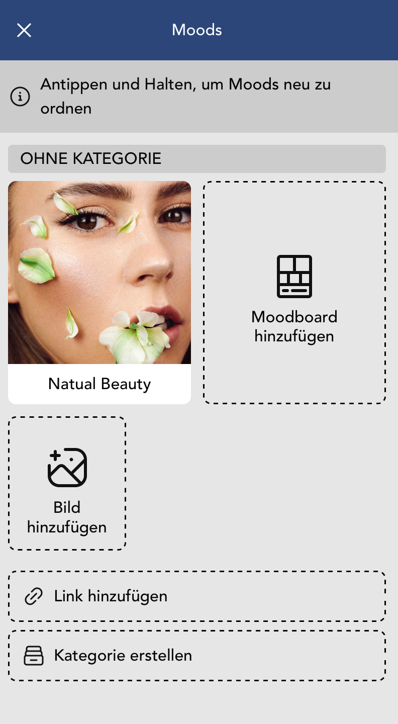 Moods Widget Fenster