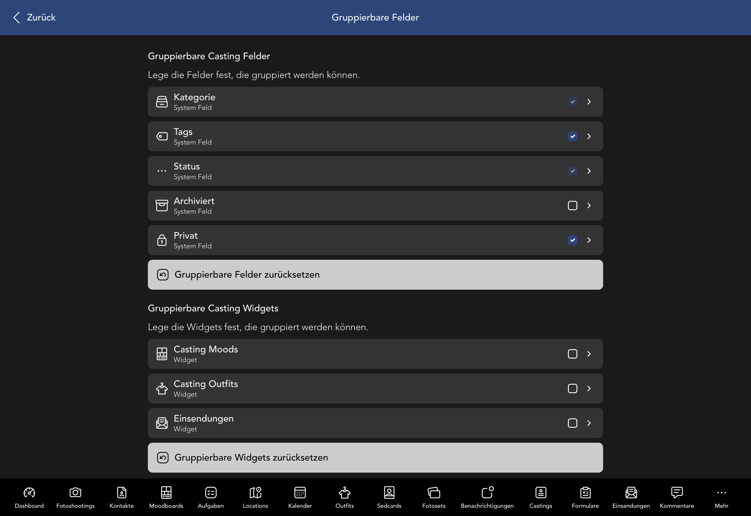 Gruppierbare Casting Felder und Widgets