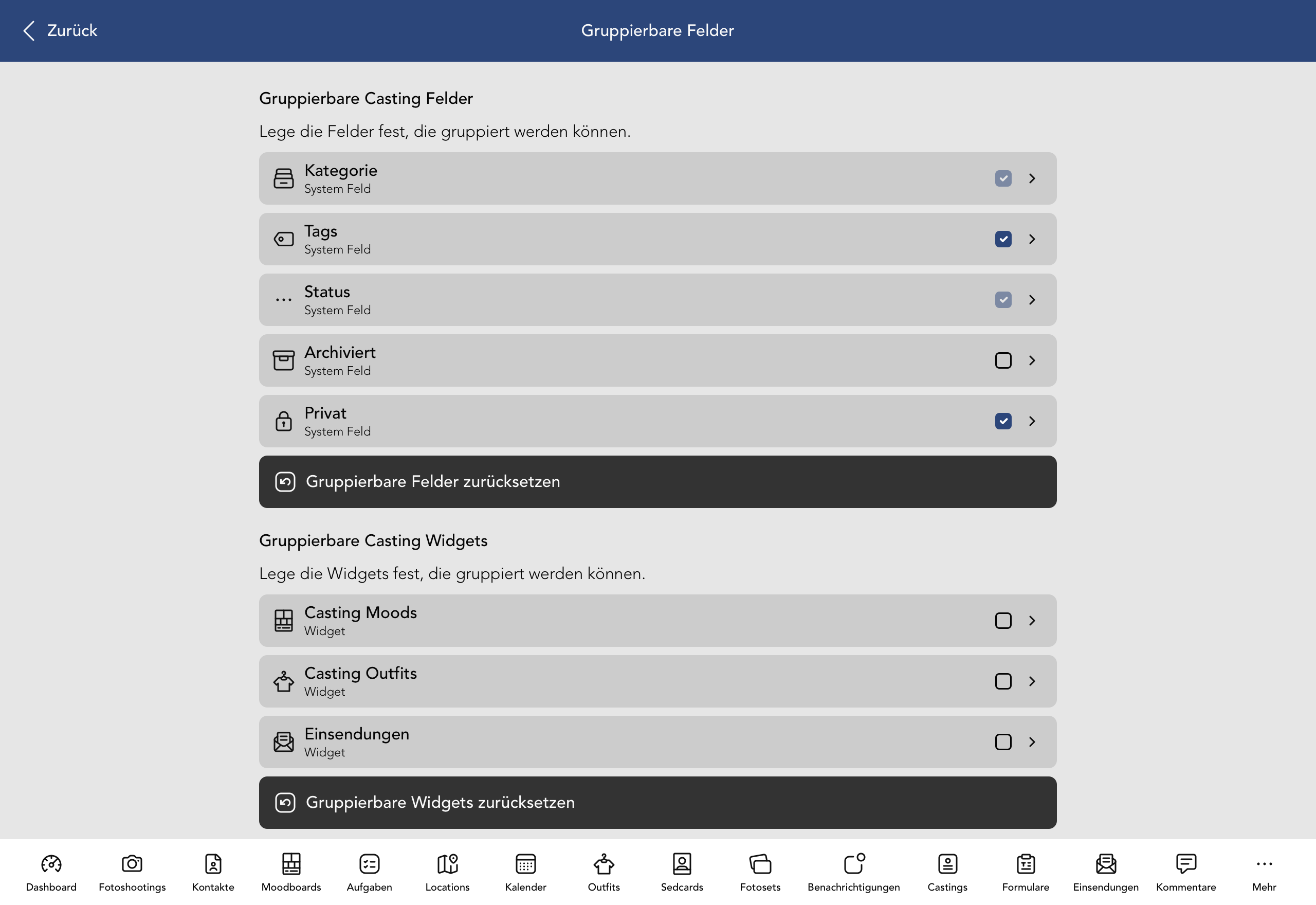 Gruppierbare Casting Felder und Widgets