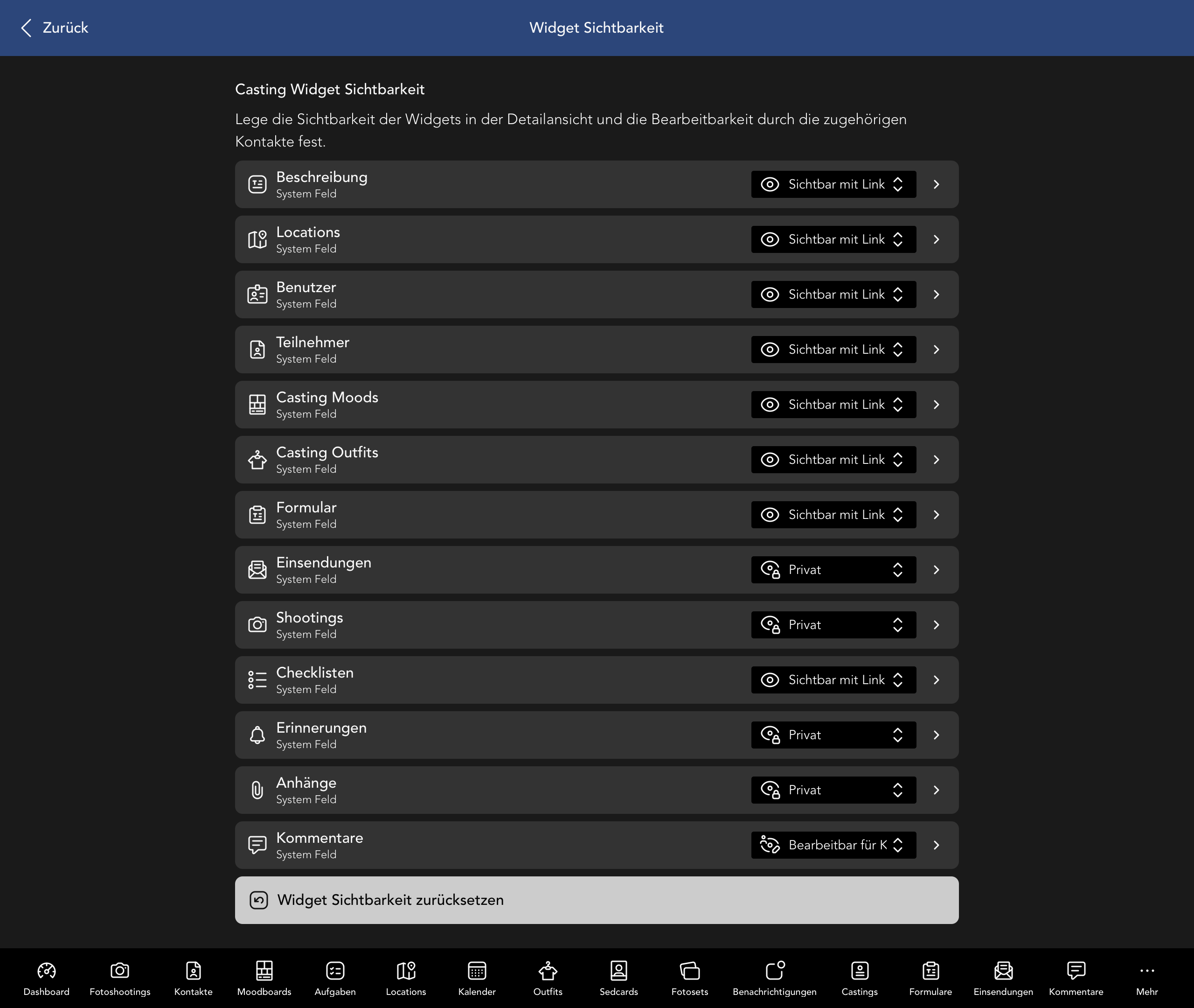 Casting Widget Sichtbarkeit
