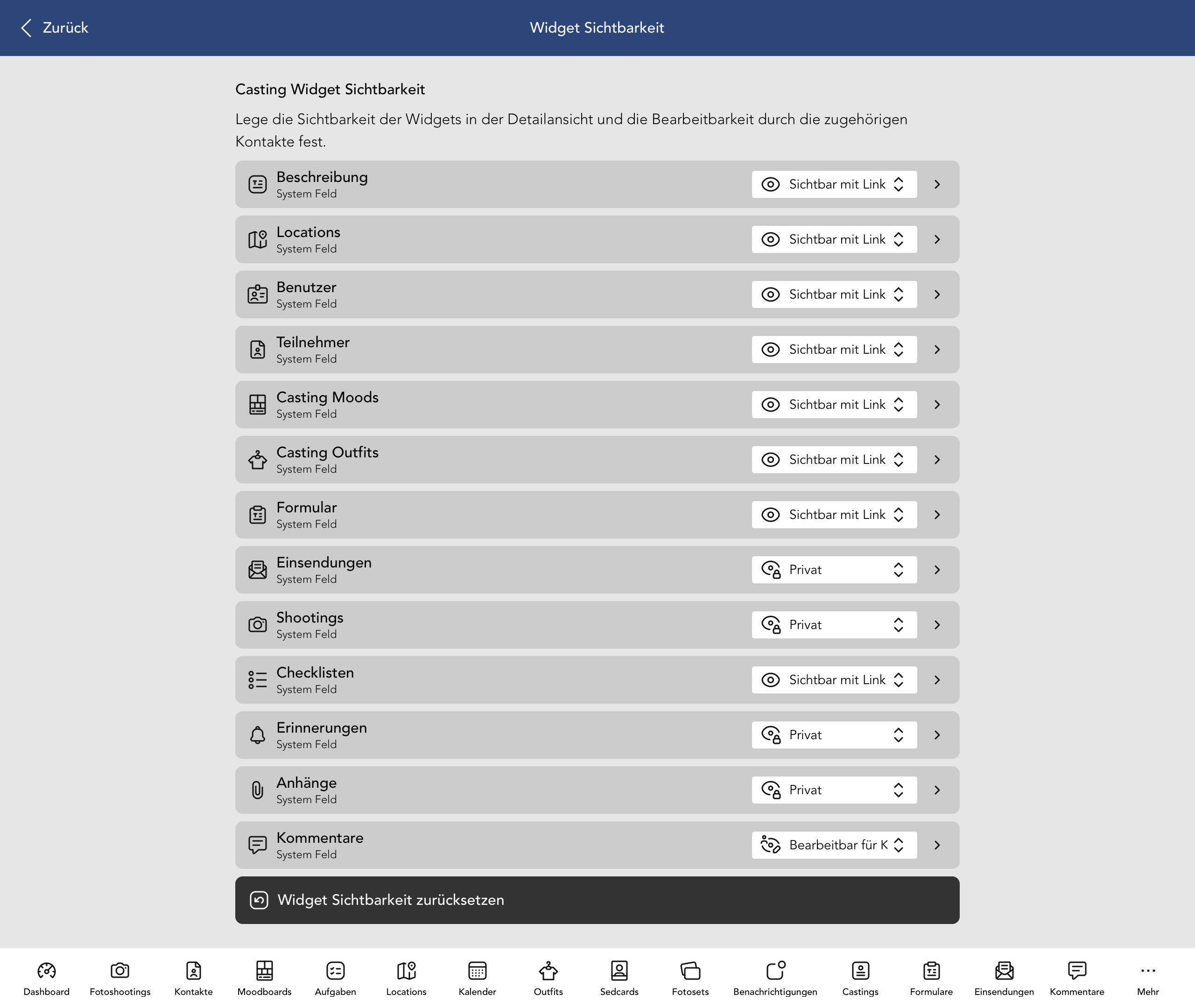 Casting Widget Sichtbarkeit