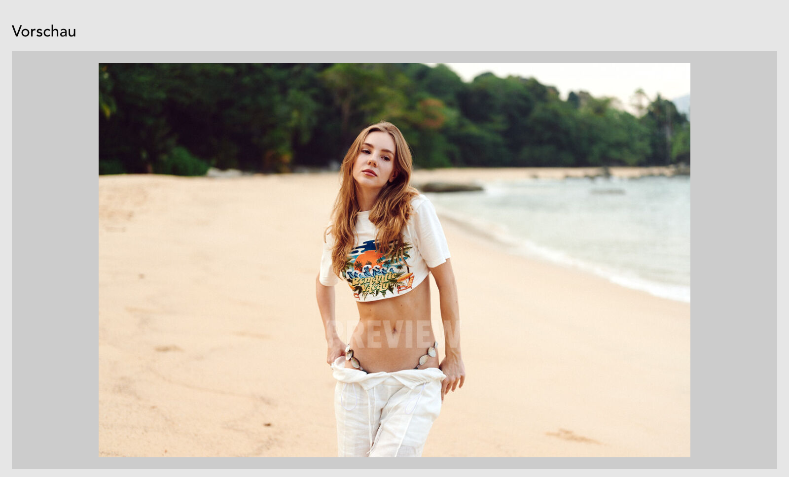 Datei Vorschau Widget