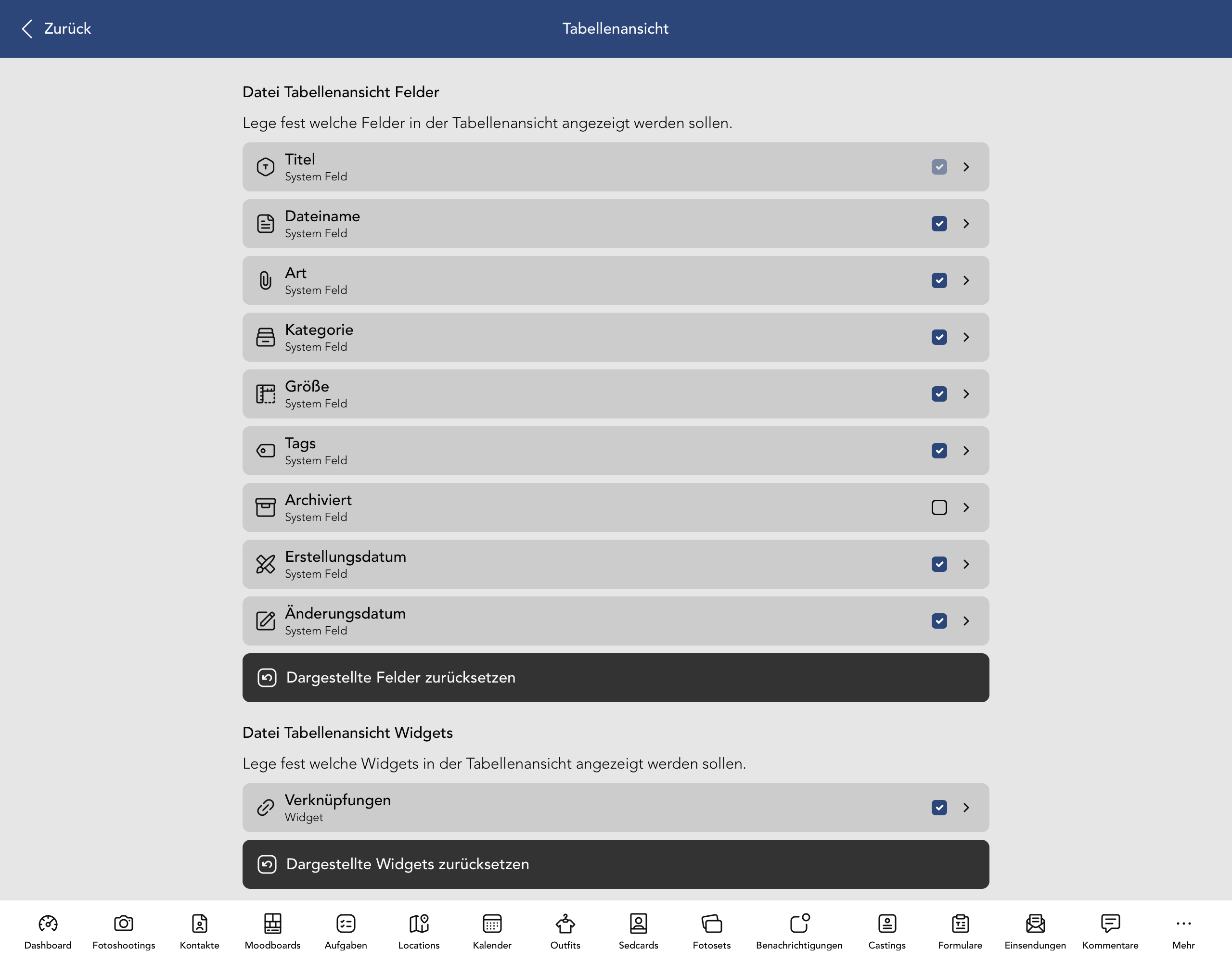 Datei Tabellenansicht Felder und Widgets