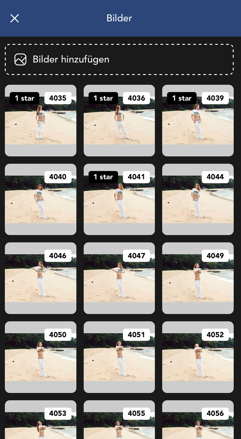 Bilder Widget Details