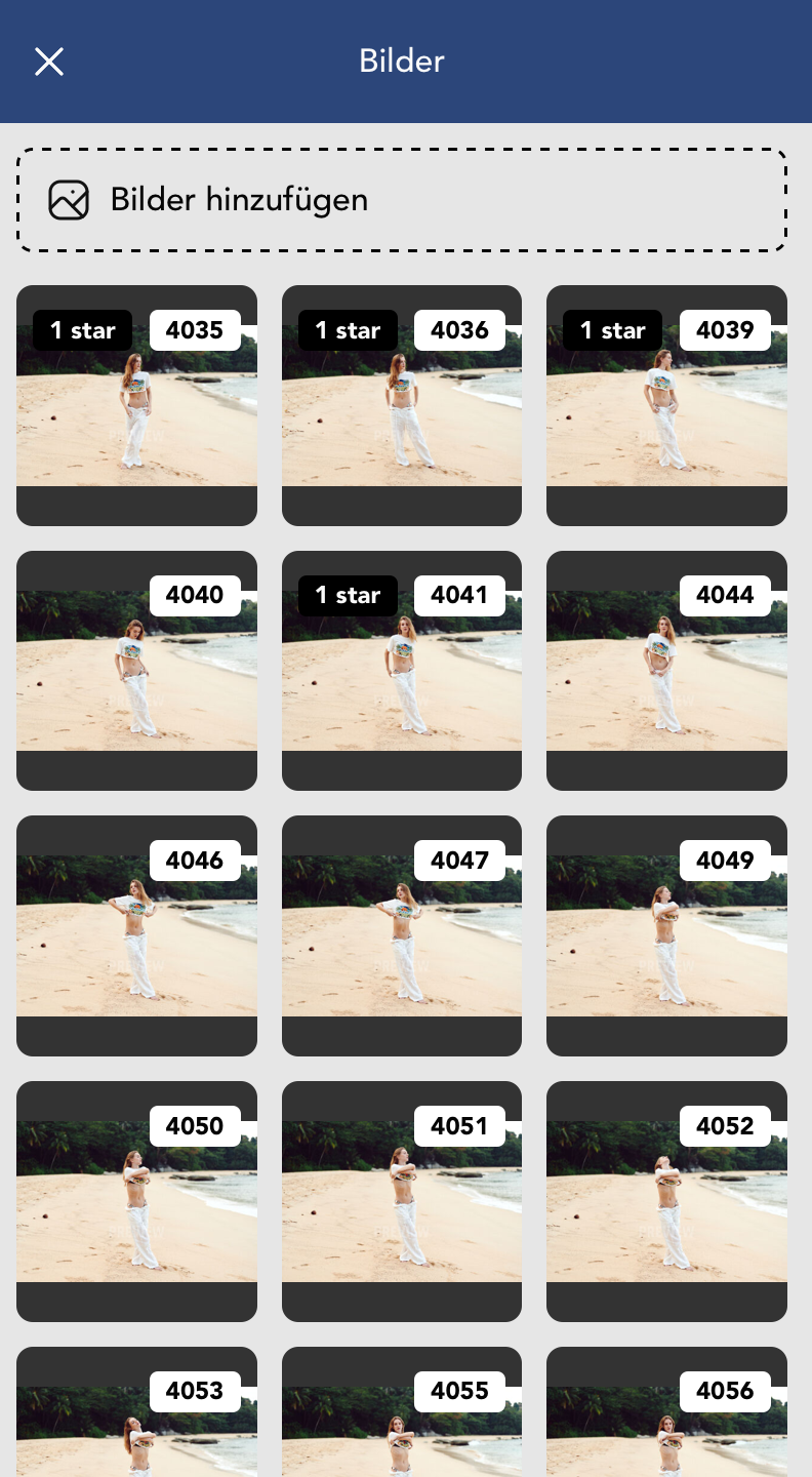 Bilder Widget Details