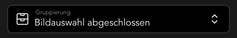 Gruppierungsoptionen in der Photoset Übersicht
