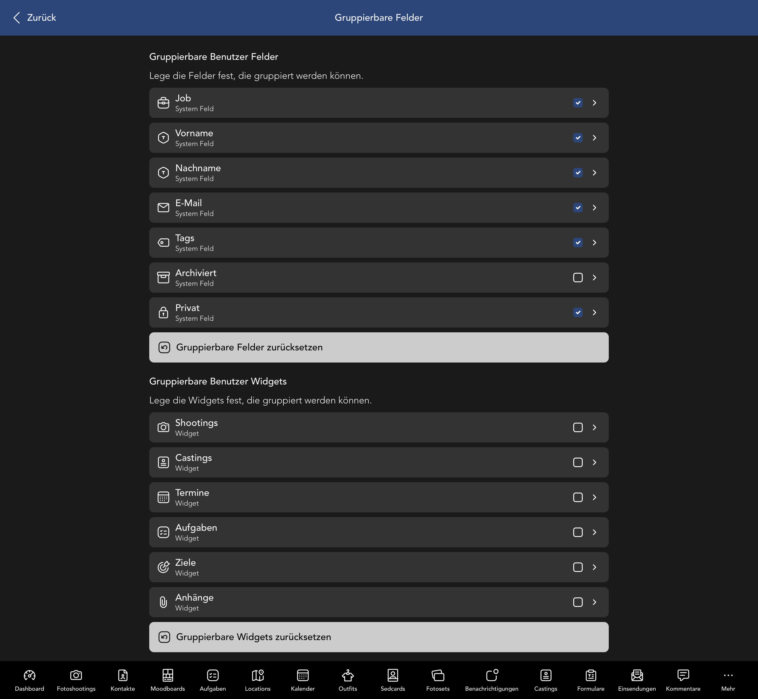 Gruppierbare Nutzer Felder und Widgets