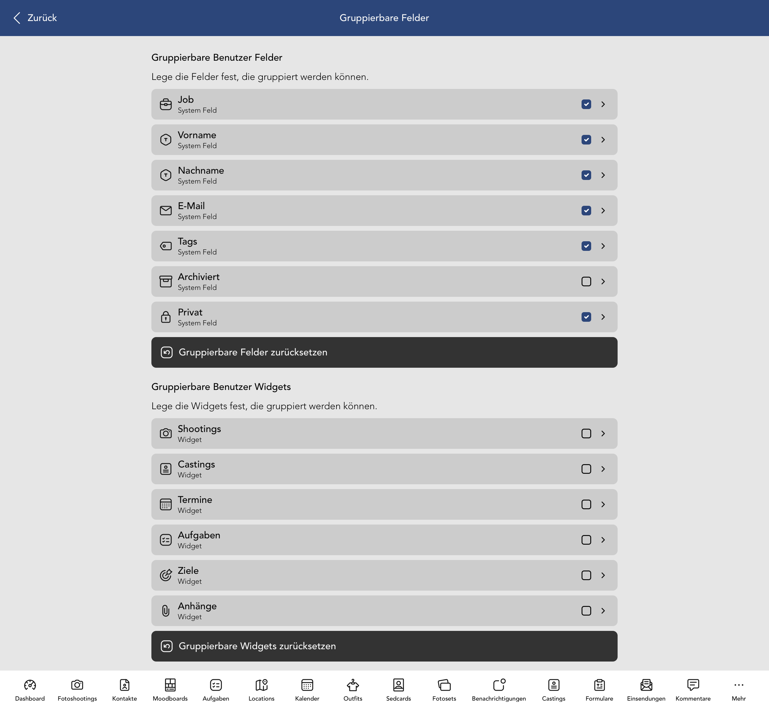 Gruppierbare Nutzer Felder und Widgets